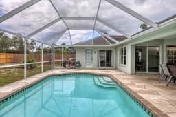 Tropical Paradise - Image 3