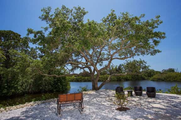 Tropical Waterfront Oasis - Image 1