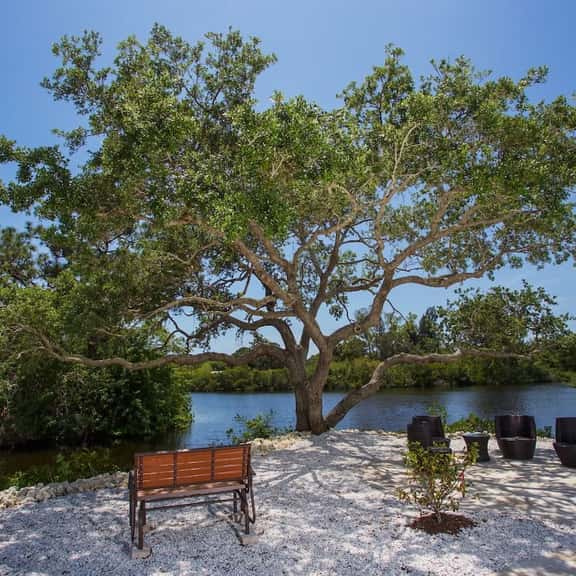 Tropical Waterfront Oasis - Image 1