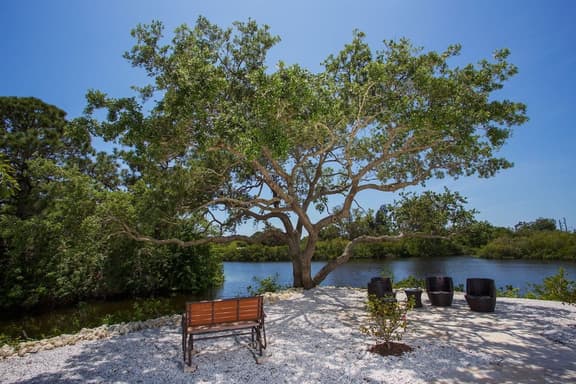 Tropical Waterfront Oasis - Image 1